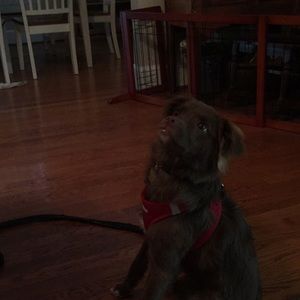 Meet your Posher, Susan